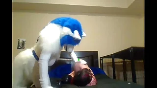 352 furry porn videos